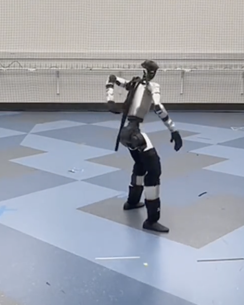 Real humanoid reference for pose 13.